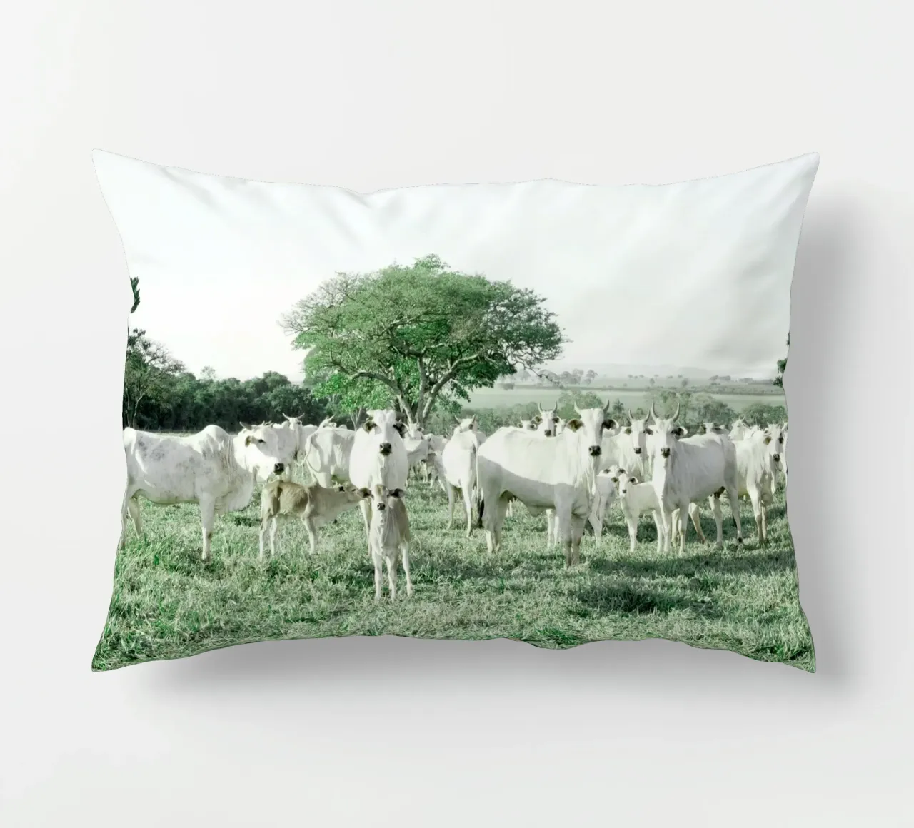 Mucche bianche in un campo verde cuscino da KISSA STUDIO
