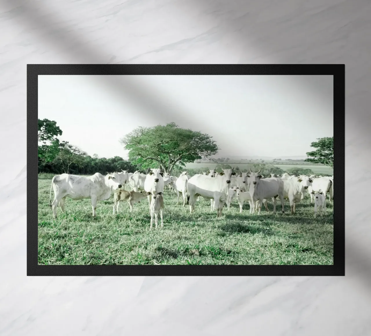 Mucche bianche in un campo verde zerbino da KISSA STUDIO