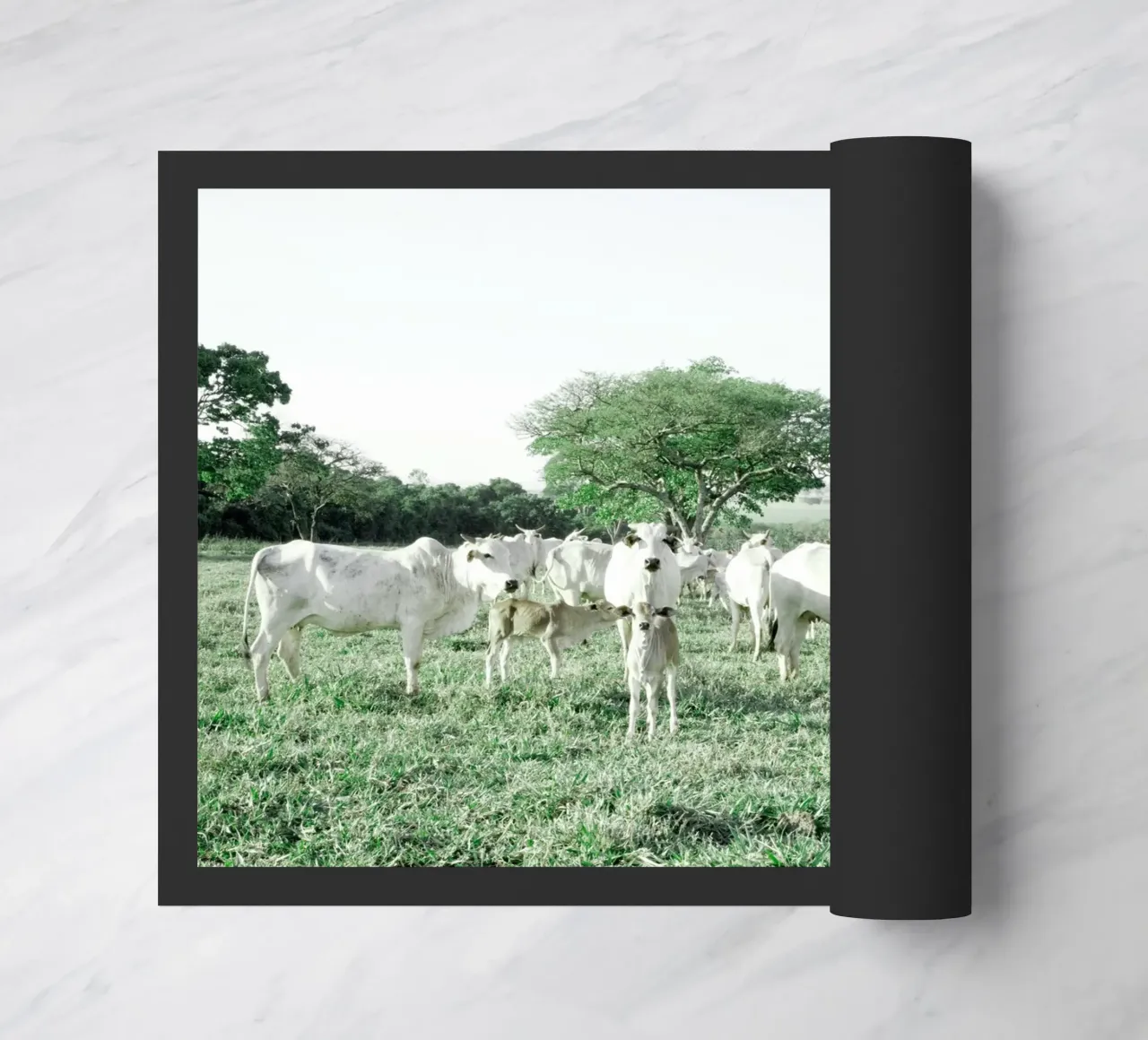 Mucche bianche in un campo verde zerbino da KISSA STUDIO