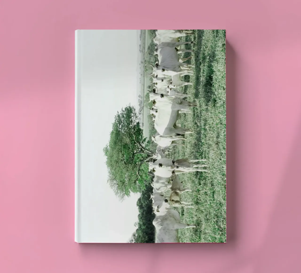 Vaches blanches dans un champ vert carnet de notes de KISSA STUDIO