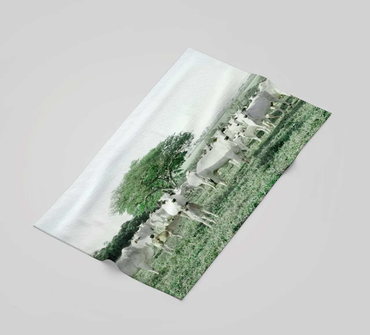 Mucche bianche in un campo verde telo mare da KISSA STUDIO