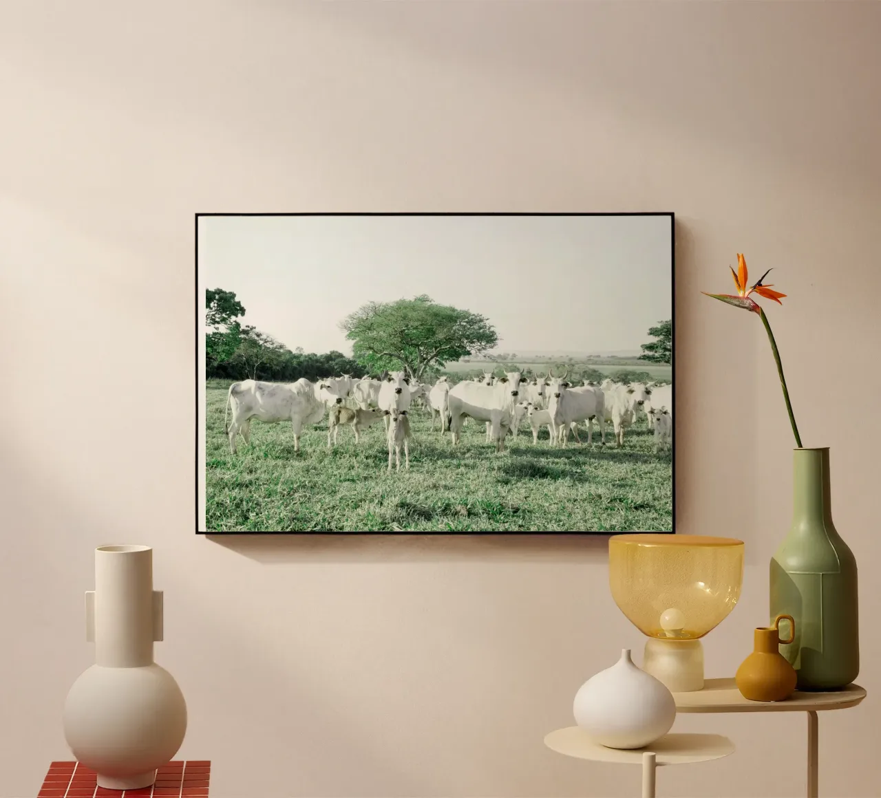 Mucche bianche in un campo verde plexiglass da KISSA STUDIO