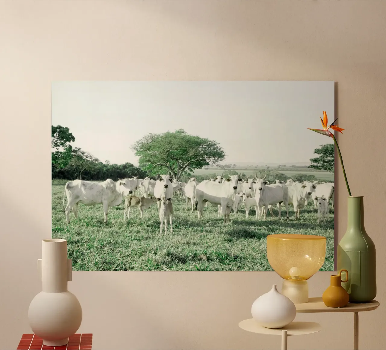 Mucche bianche in un campo verde plexiglass da KISSA STUDIO