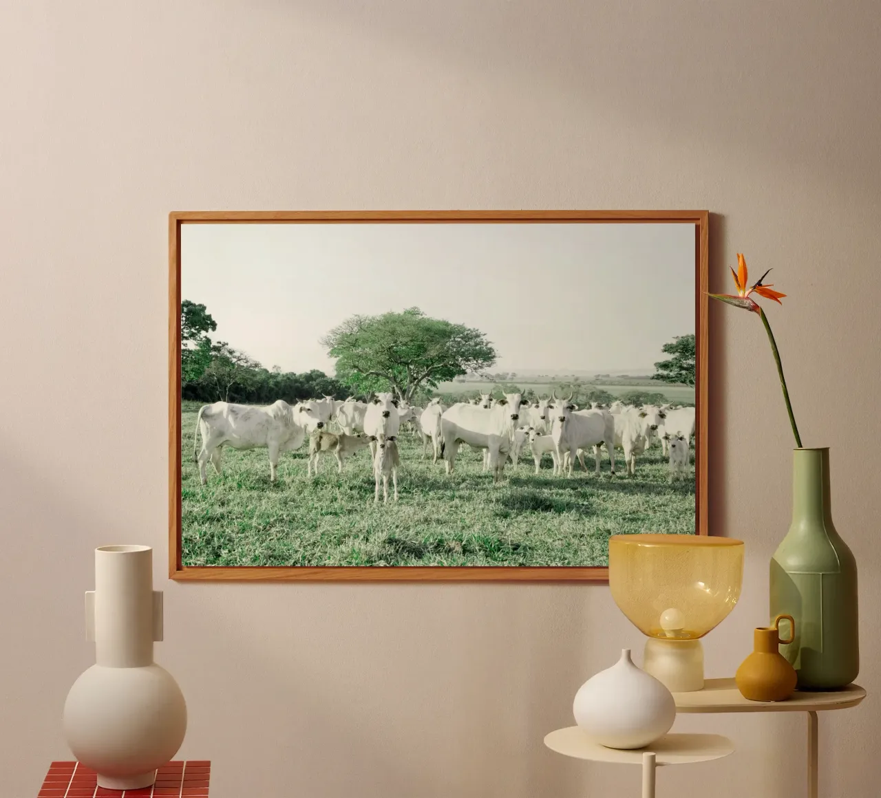 Mucche bianche in un campo verde alluminio dibond da KISSA STUDIO