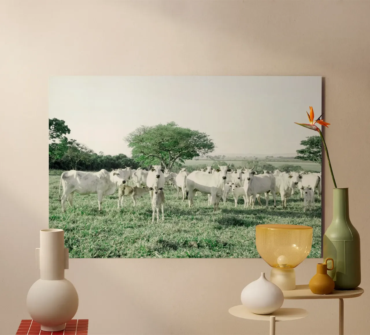 Mucche bianche in un campo verde alluminio dibond da KISSA STUDIO