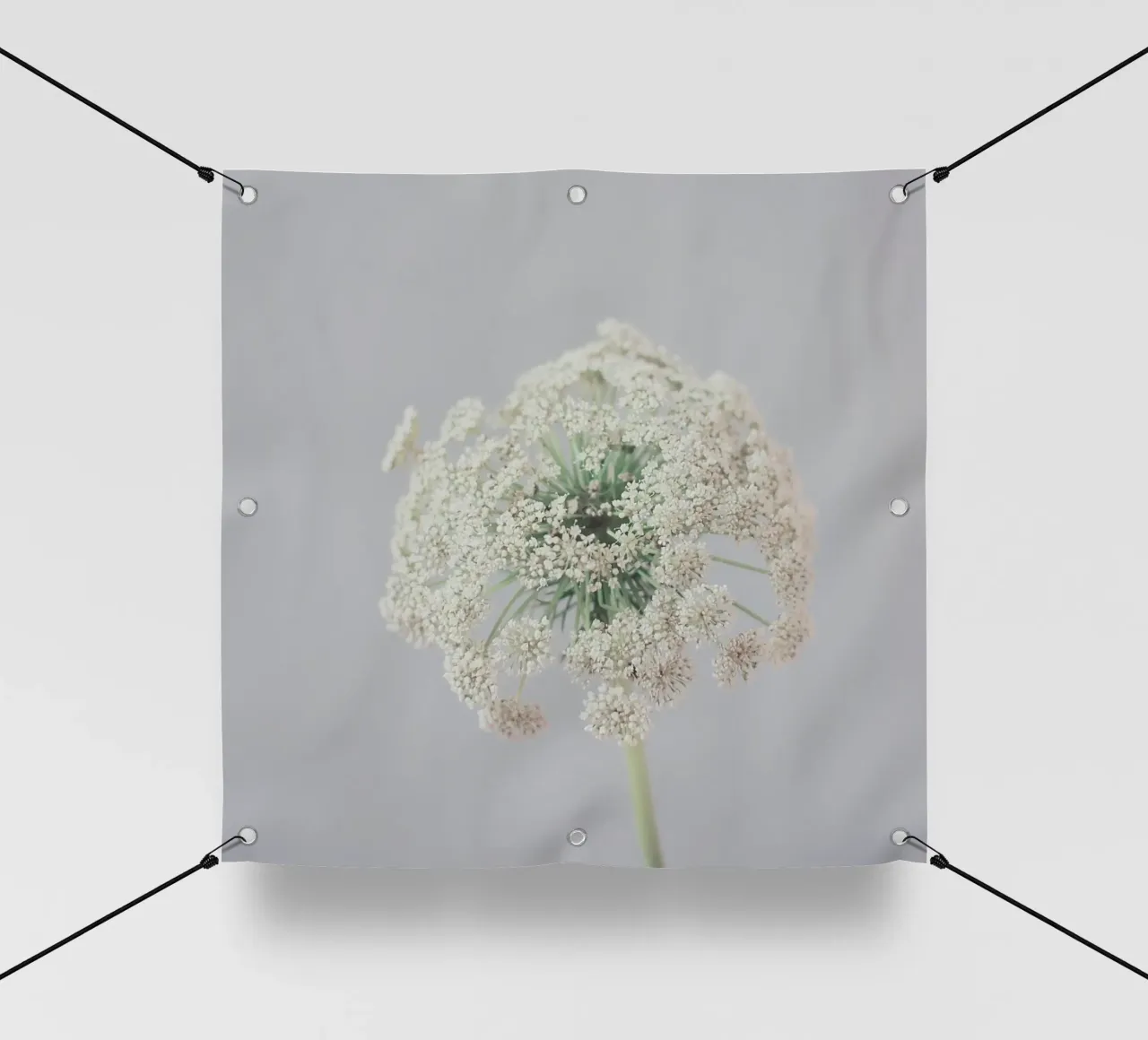 Tranquillamente telo in pvc da Cassia Beck Photography