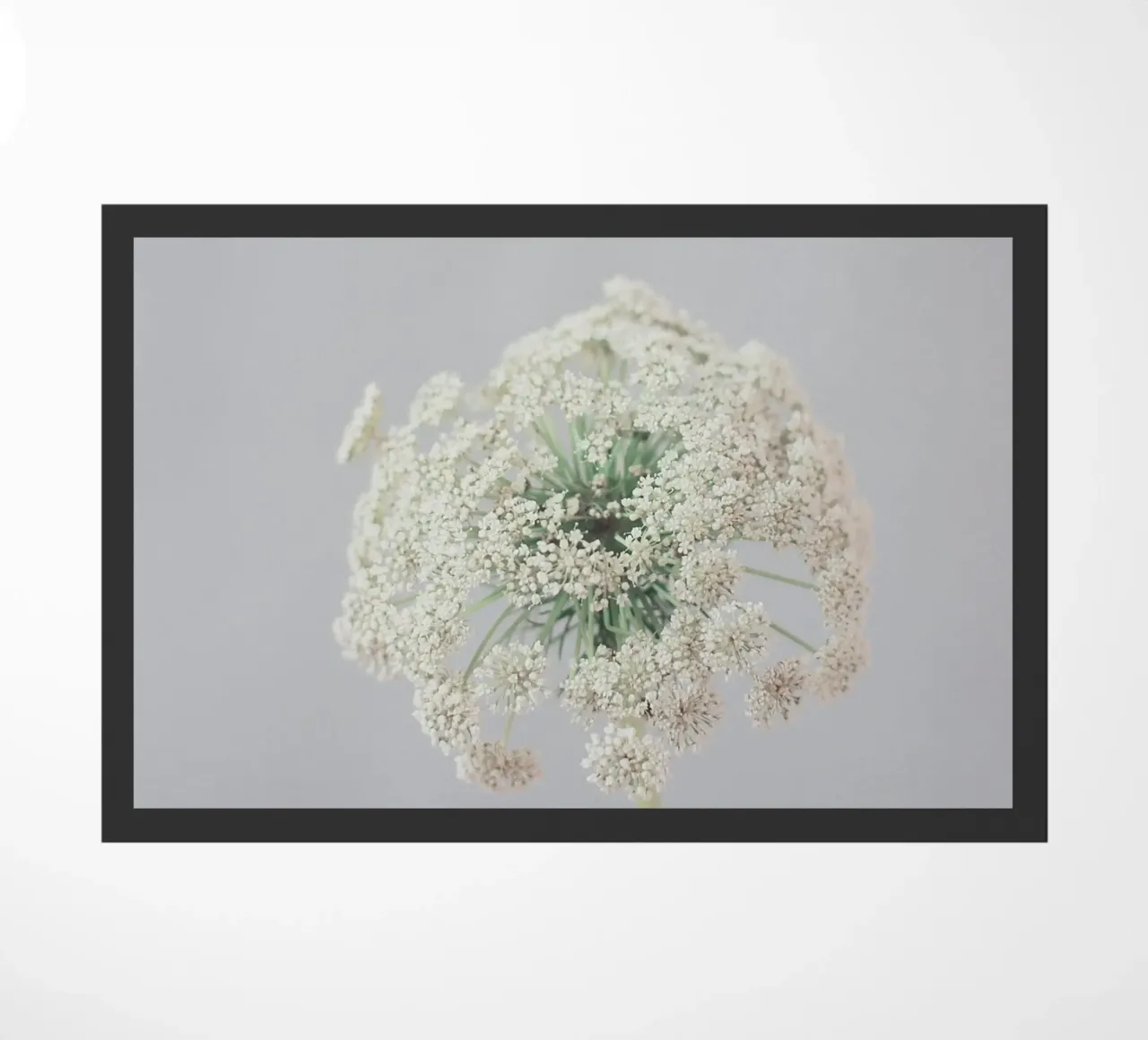 Quietly Fußmatte von Cassia Beck Photography