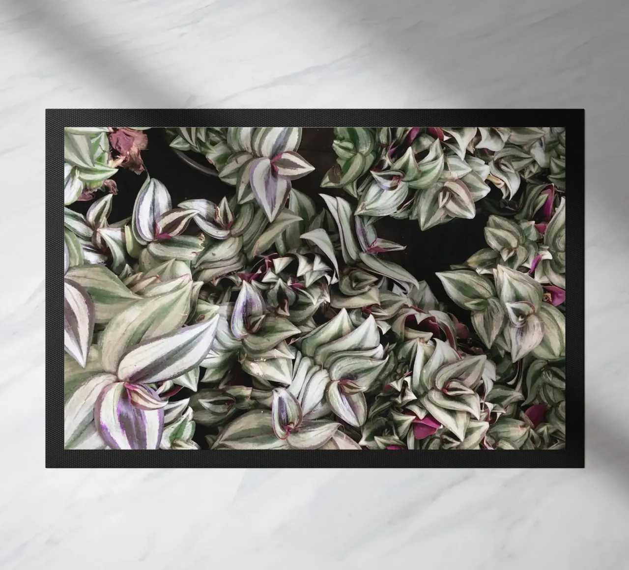 Movement doormat by Cassia Beck Photography