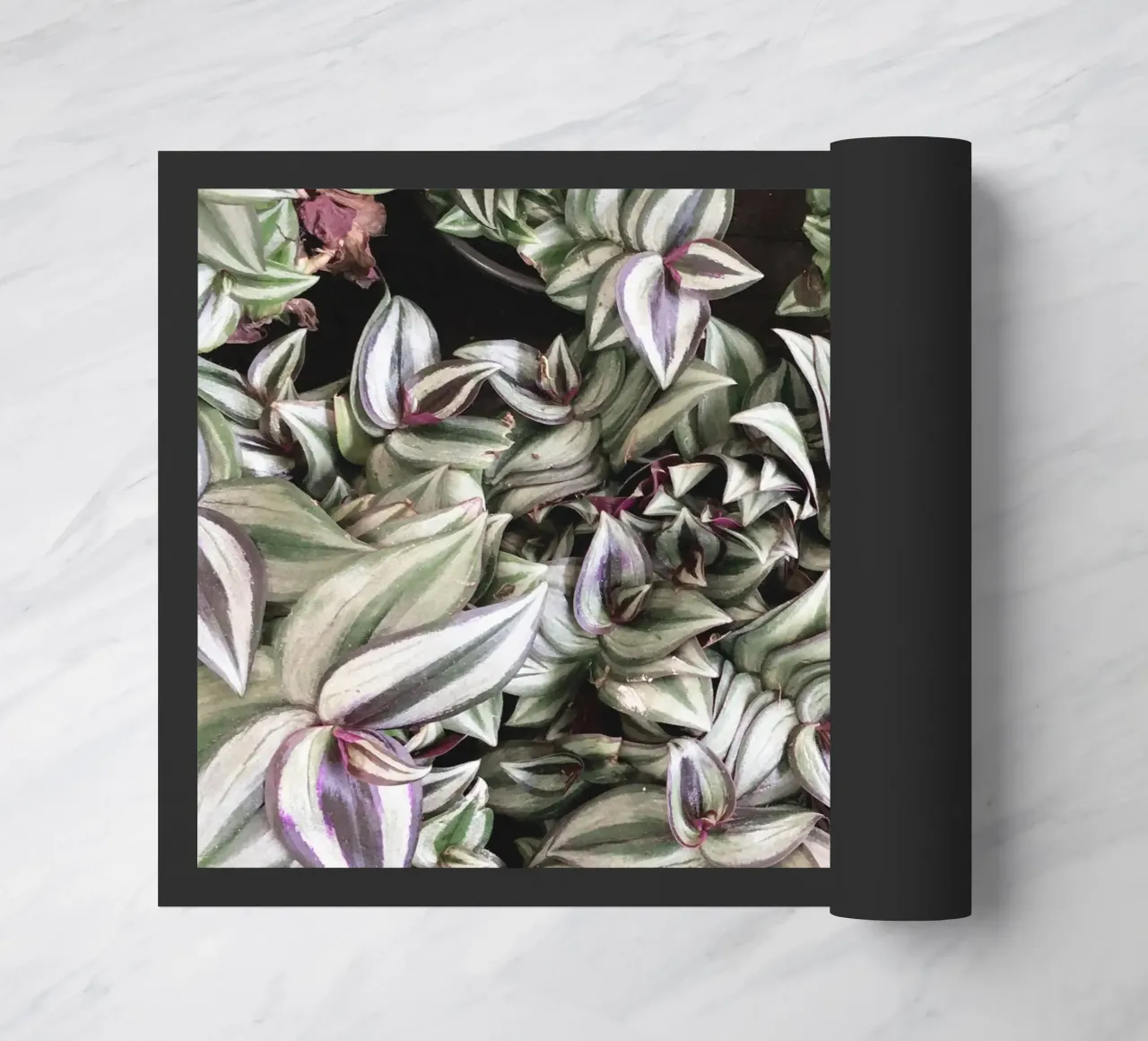 Movement doormat by Cassia Beck Photography