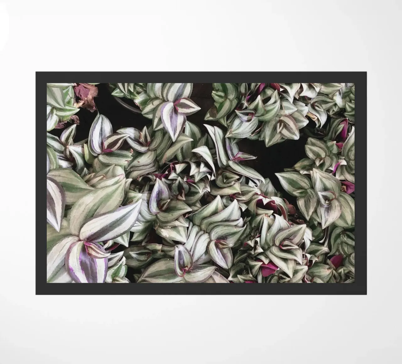 Movement doormat by Cassia Beck Photography