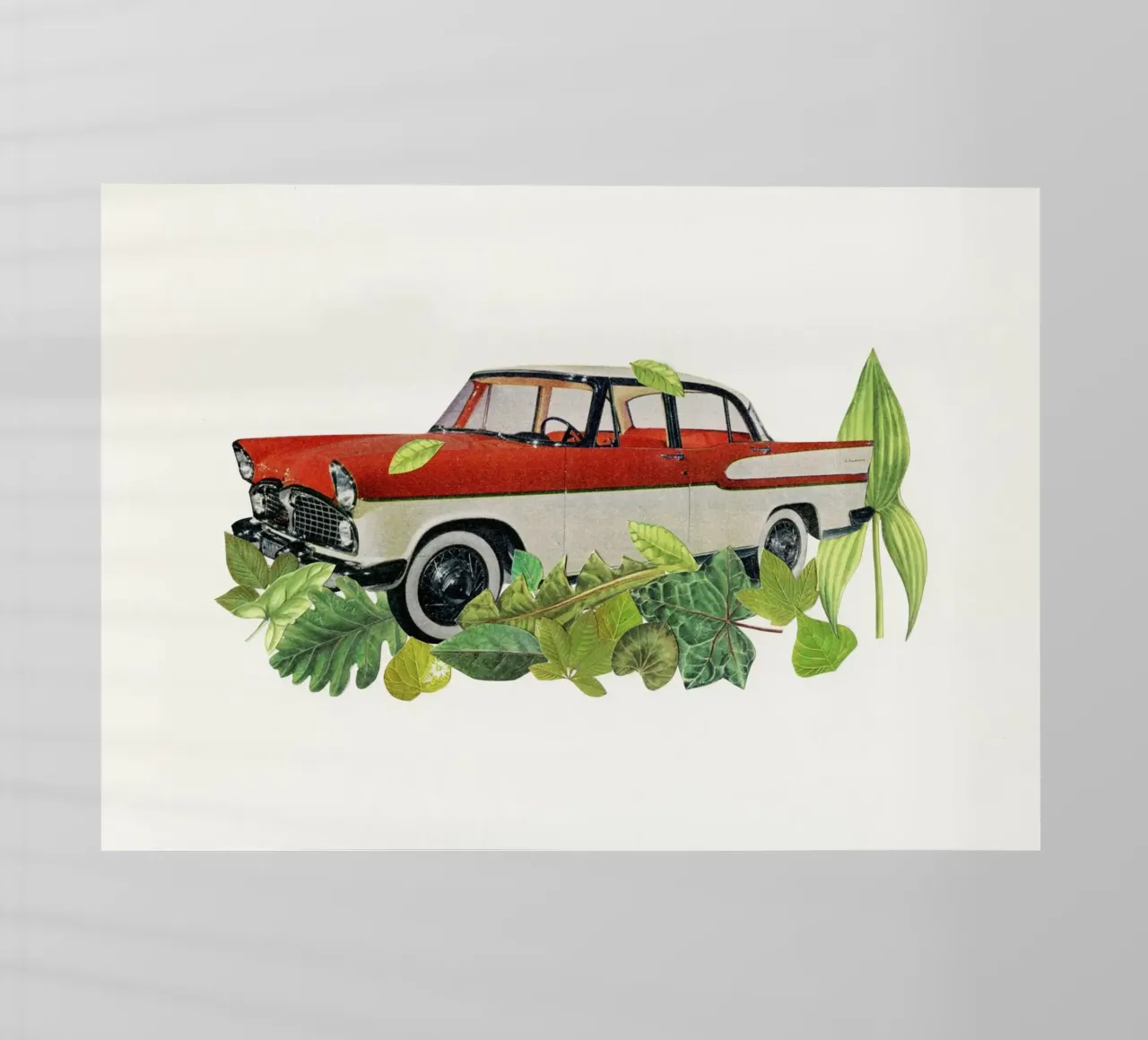 Fuori strada pellicola backlit da Cassia Beck Collage