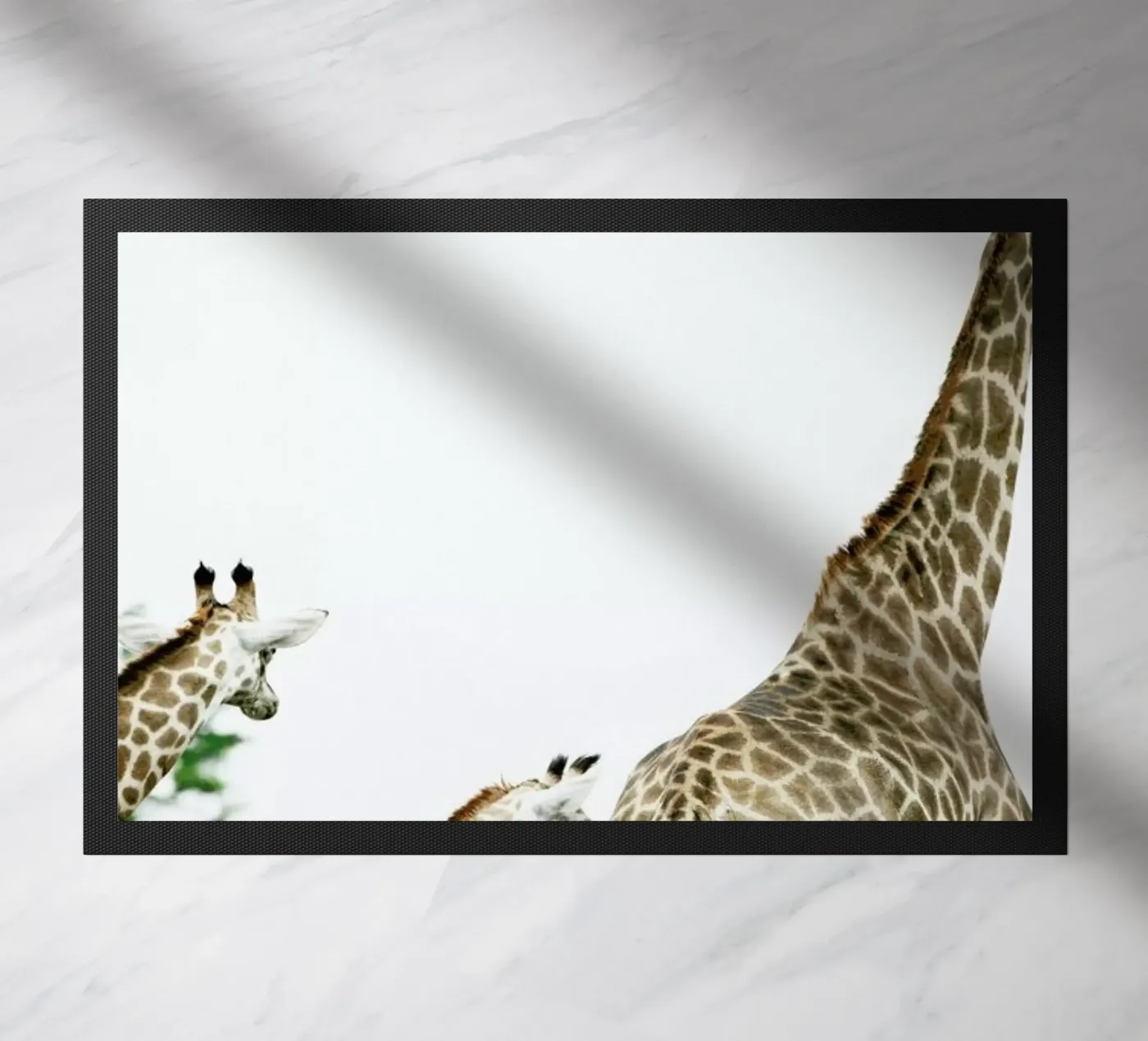 Famdam zerbino da Shot By Clint