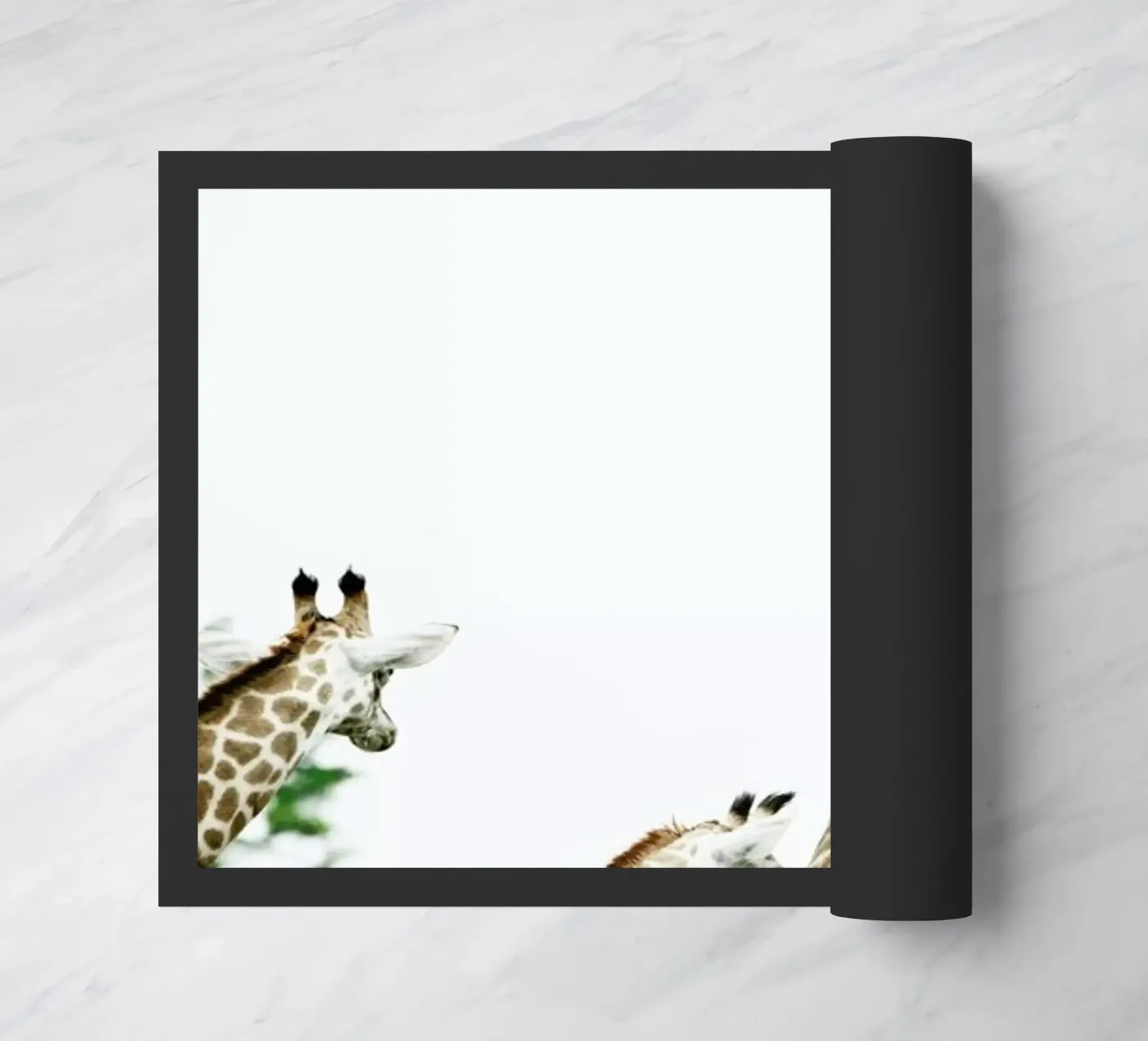 Famdam zerbino da Shot By Clint