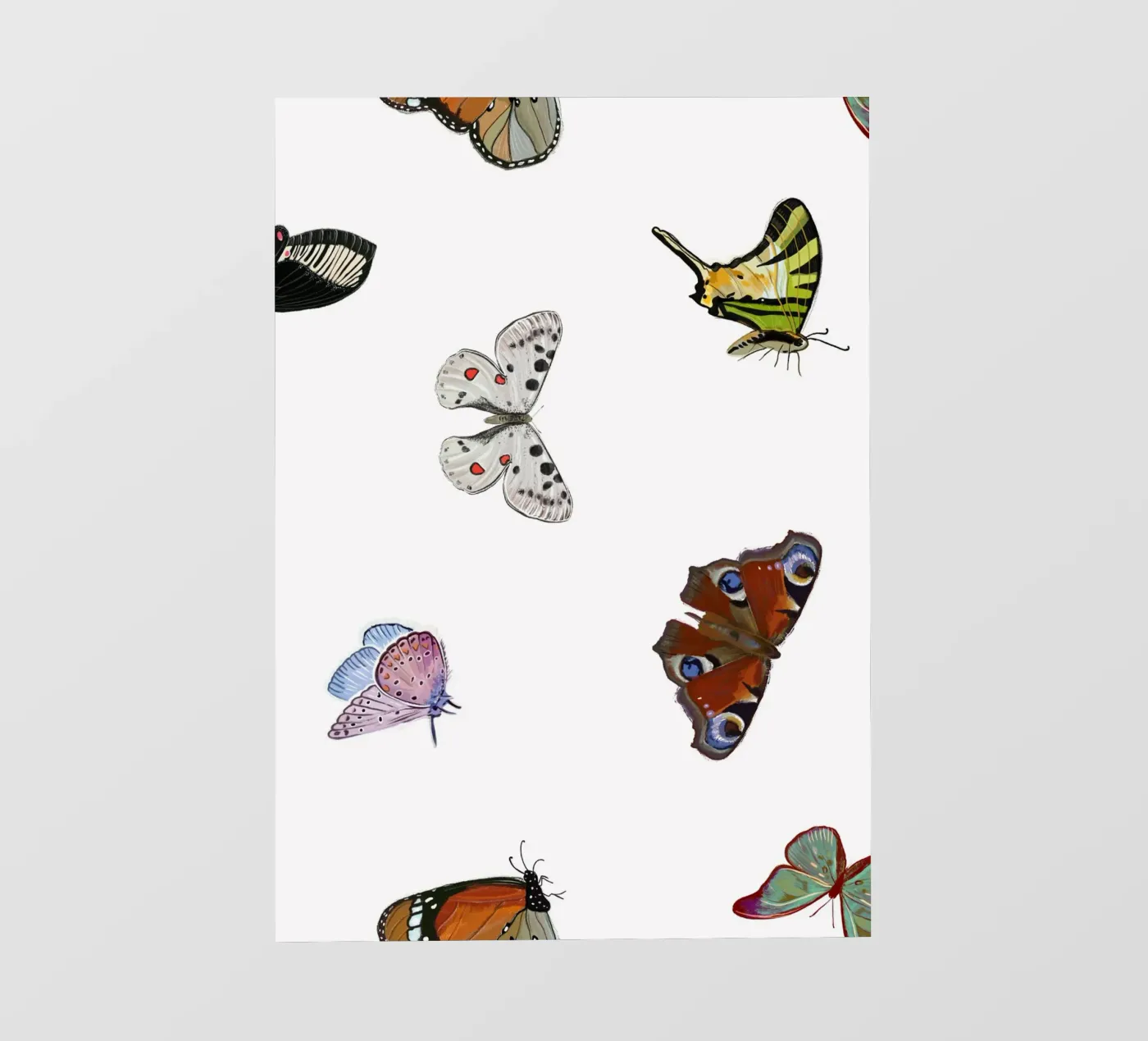 Vlinders wit fotobehang van gulsengunel