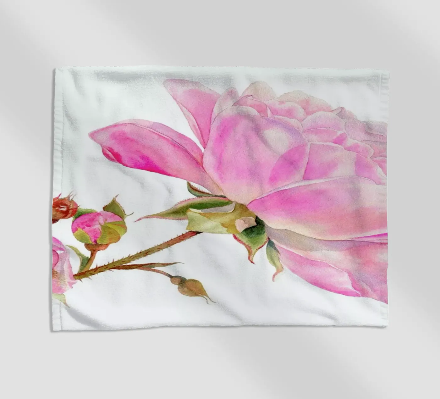 Bodendeckerrose telo mare da youdesignme