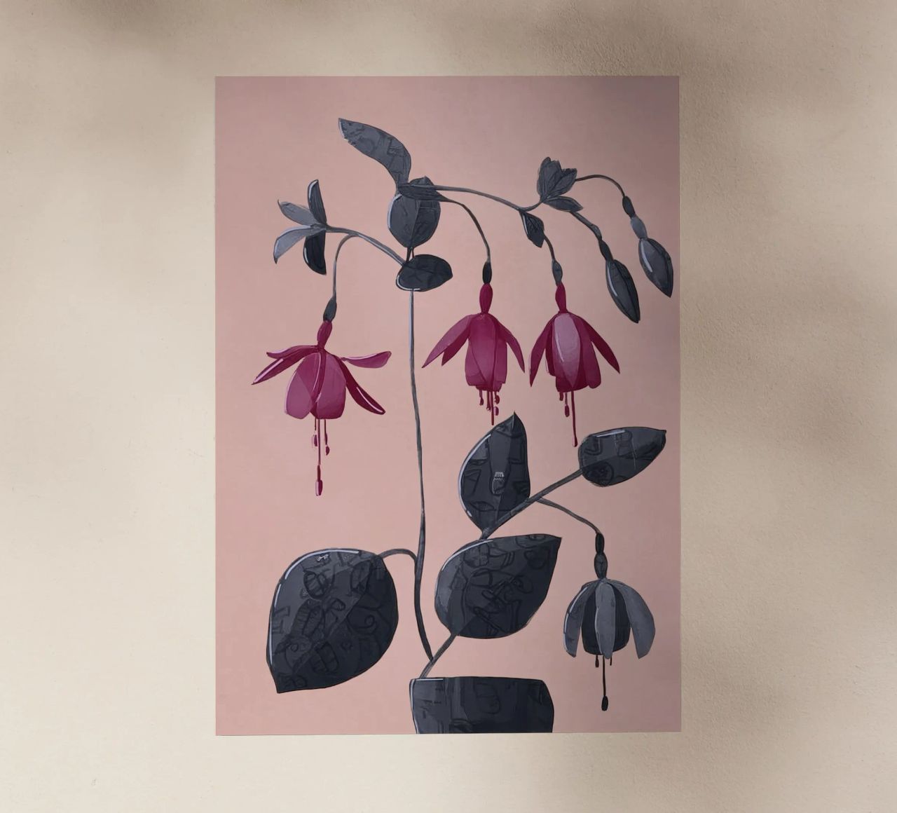 Fuchsia Botanical Drawing pellicola backlit da Flow Line