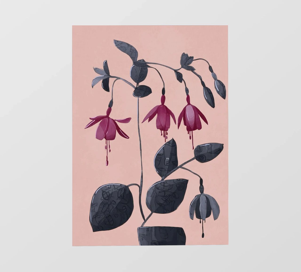 Fuchsia Botanical Drawing pellicola backlit da Flow Line