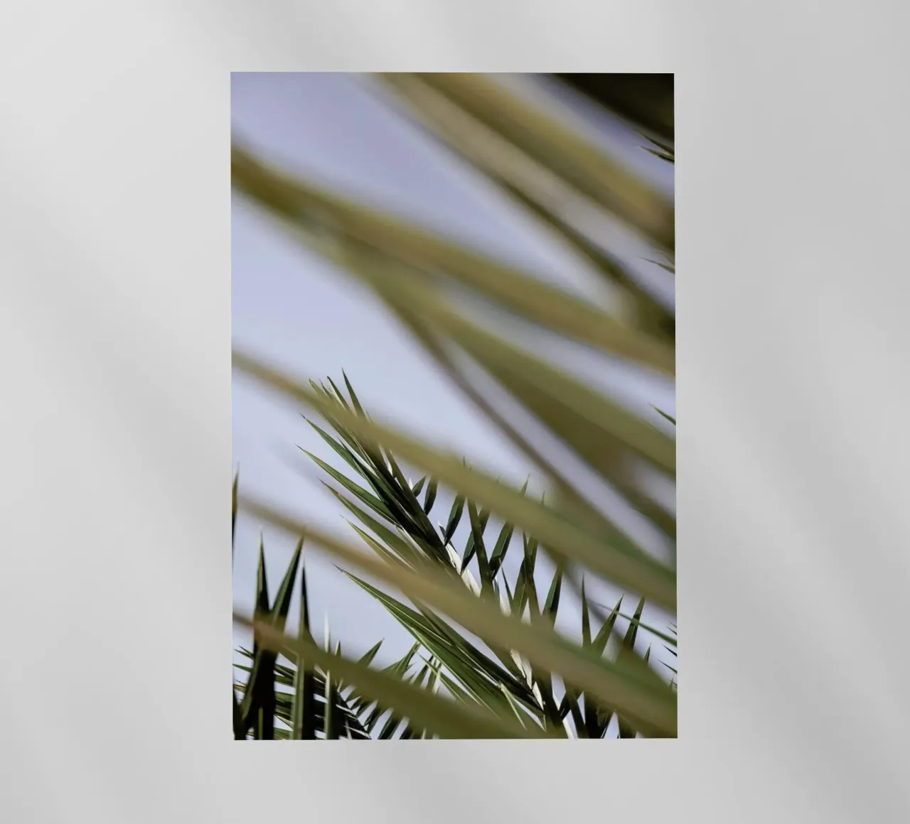 Hidden pellicola backlit da Shot By Clint