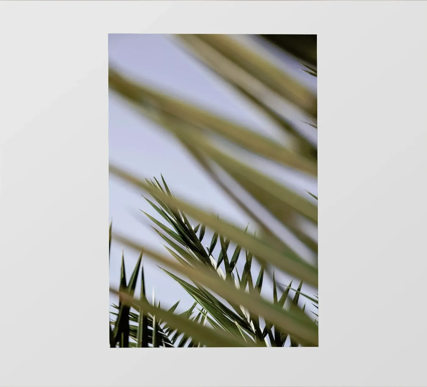 Hidden pellicola backlit da Shot By Clint