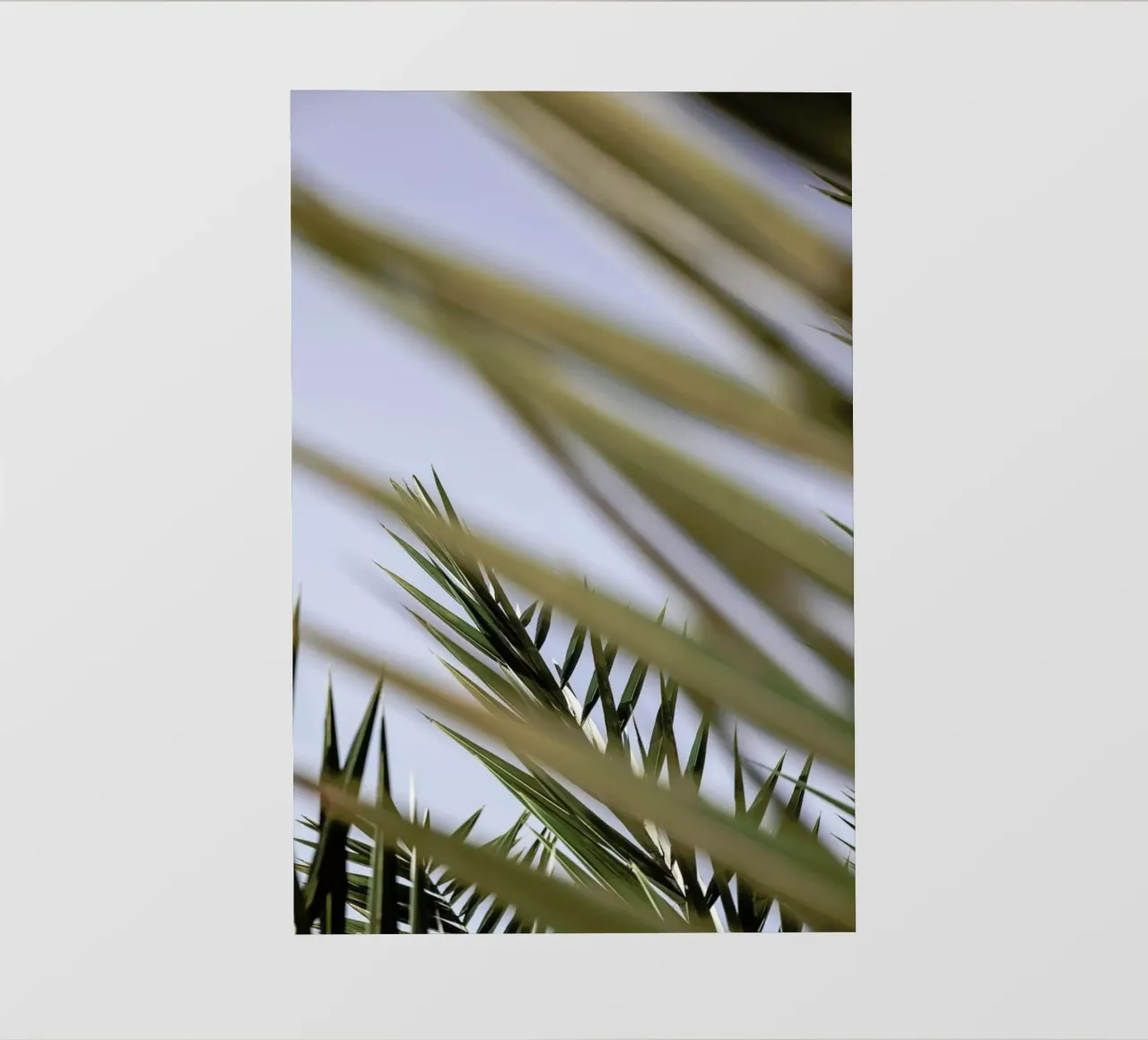 Hidden pellicola backlit da Shot By Clint