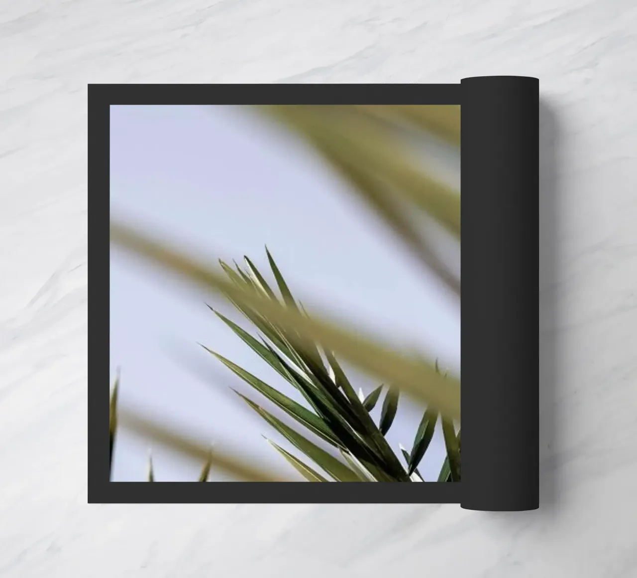 Hidden zerbino da Shot By Clint