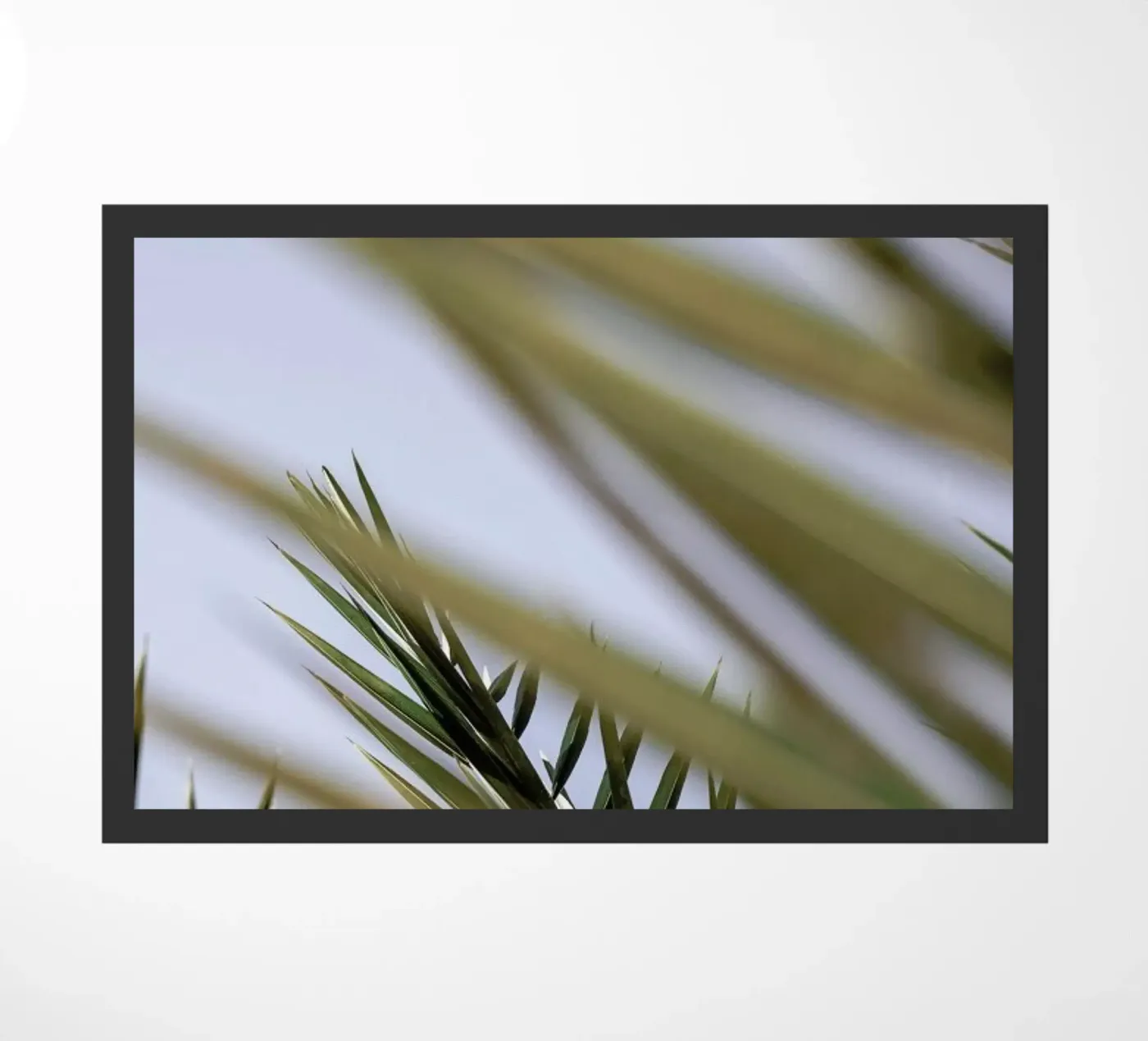 Hidden deurmat van Shot By Clint