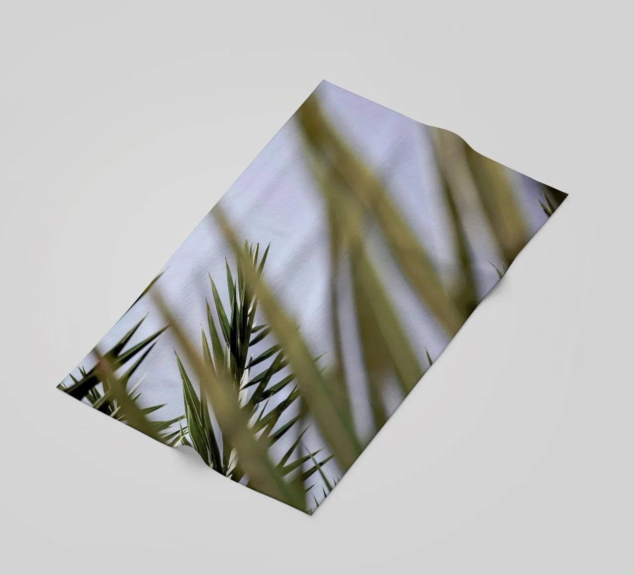 Hidden telo mare da Shot By Clint