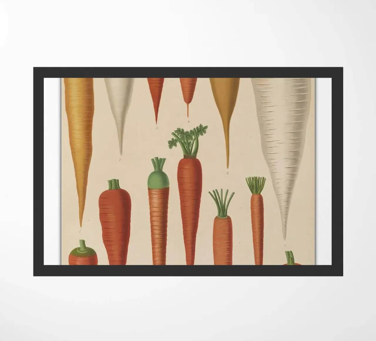 Vintage Carrot Illustration doormat by Patrick J Curtis