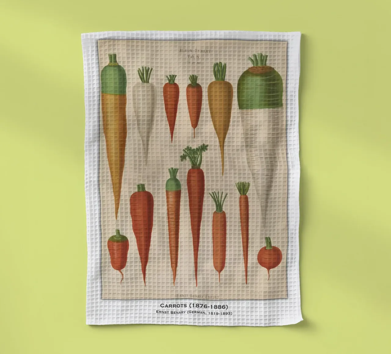 Vintage Carrot Illustration tea towel by Patrick J Curtis