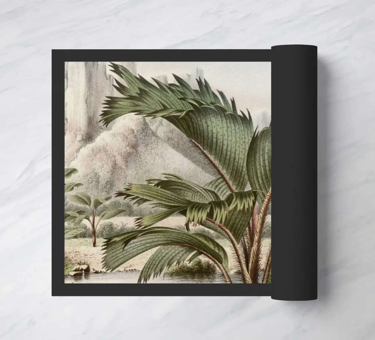 Vintage Houtte 2 Stevensonia Sechellarum zerbino da Vintage Print Collection