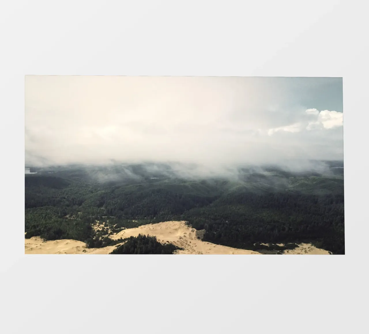 cloudy nature forest backlit film by life of sands