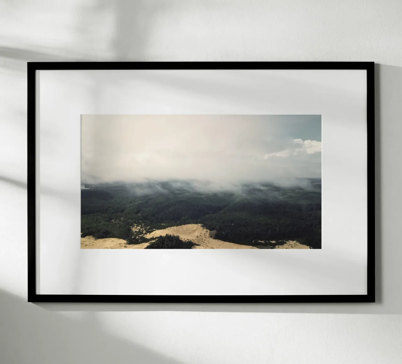 cloudy nature forest hahnemühle by life of sands