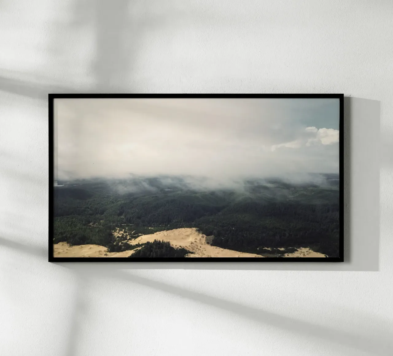 cloudy nature forest hahnemühle by life of sands