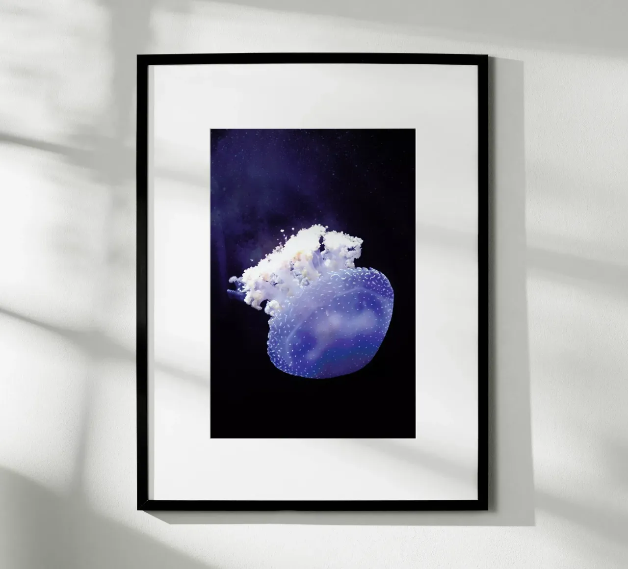 Deepsea Jellyfish poster da Wouter Rikken