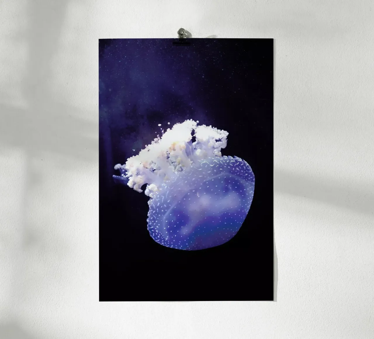 Deepsea Jellyfish carta hahnemühle da Wouter Rikken