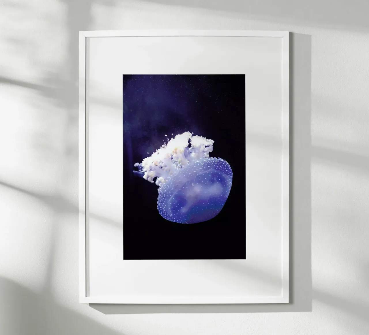 Deepsea Jellyfish poster da Wouter Rikken