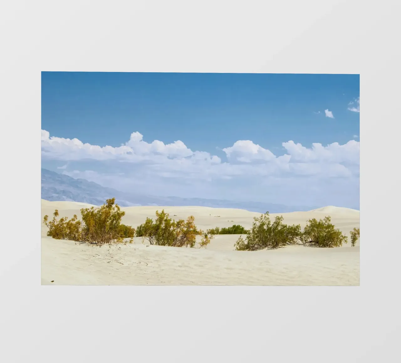 de día en las dunas papel para pared de life of sands