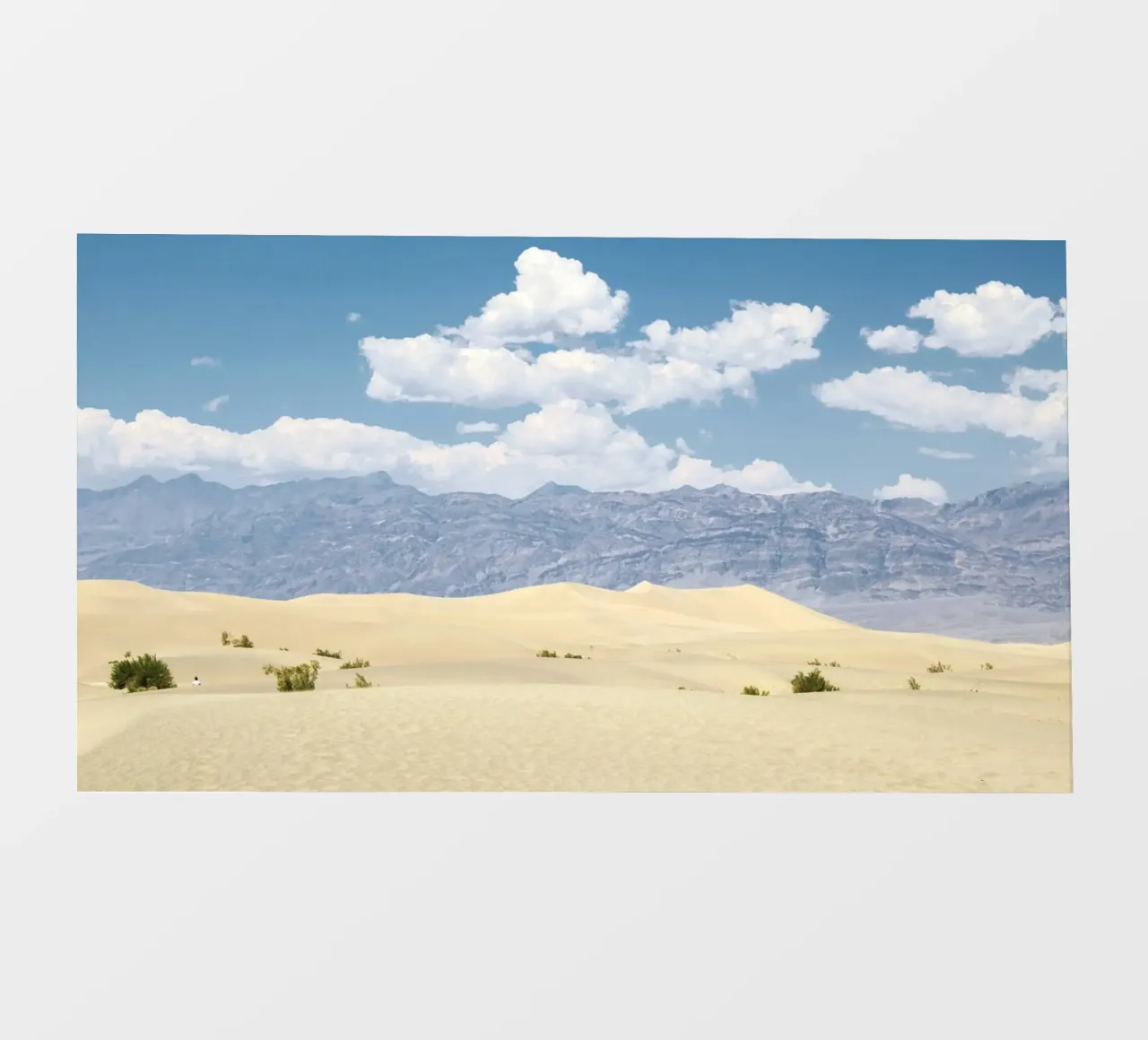 uninhabited desert backlit film by life of sands