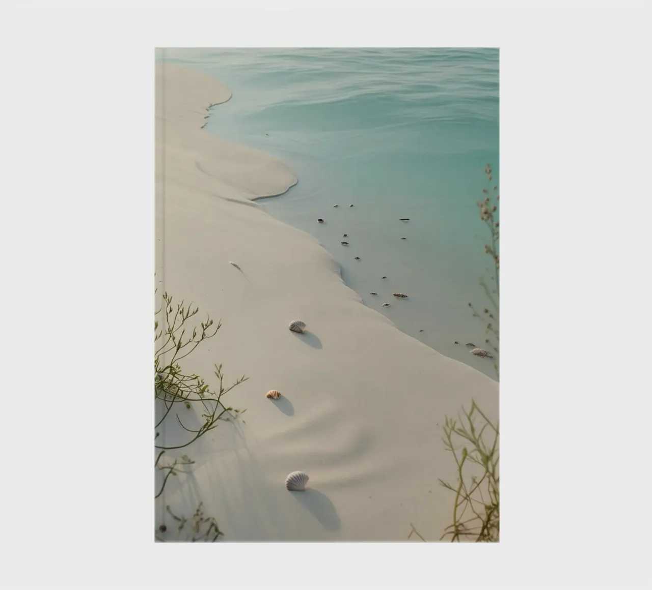beach along with sand notebook by life of sands