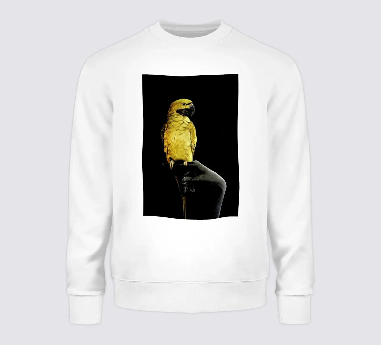Golden Parrot felpa da Wouter Rikken