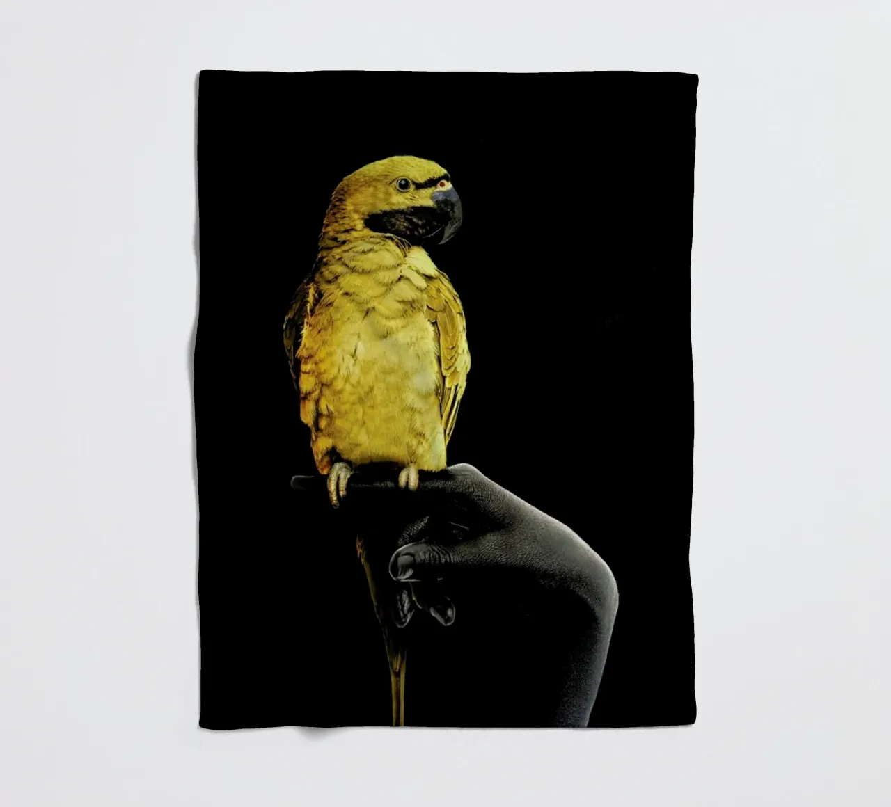 Golden Parrot fleece blanket by Wouter Rikken