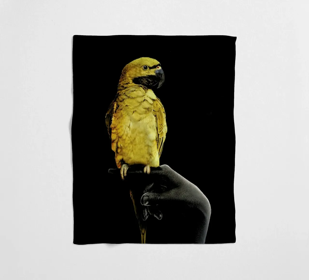Golden Parrot fleece blanket by Wouter Rikken