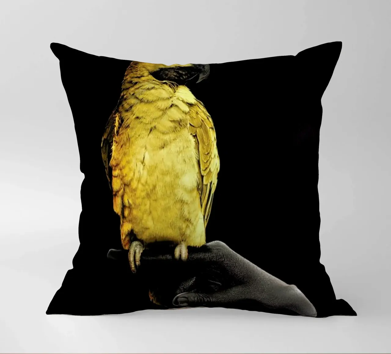 Golden Parrot decorative cushion by Wouter Rikken