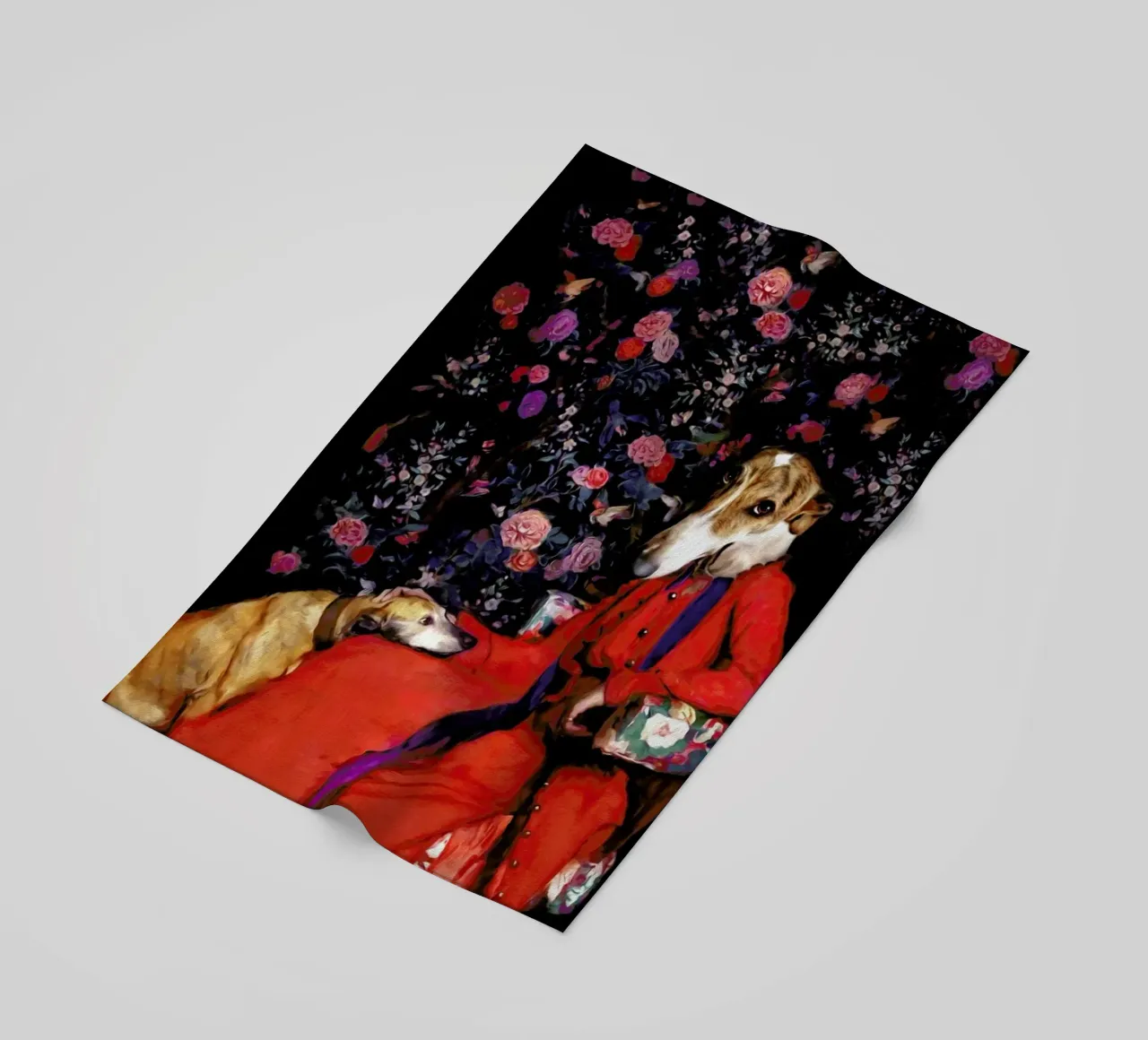 Whippy telo mare da Tein Lucasson