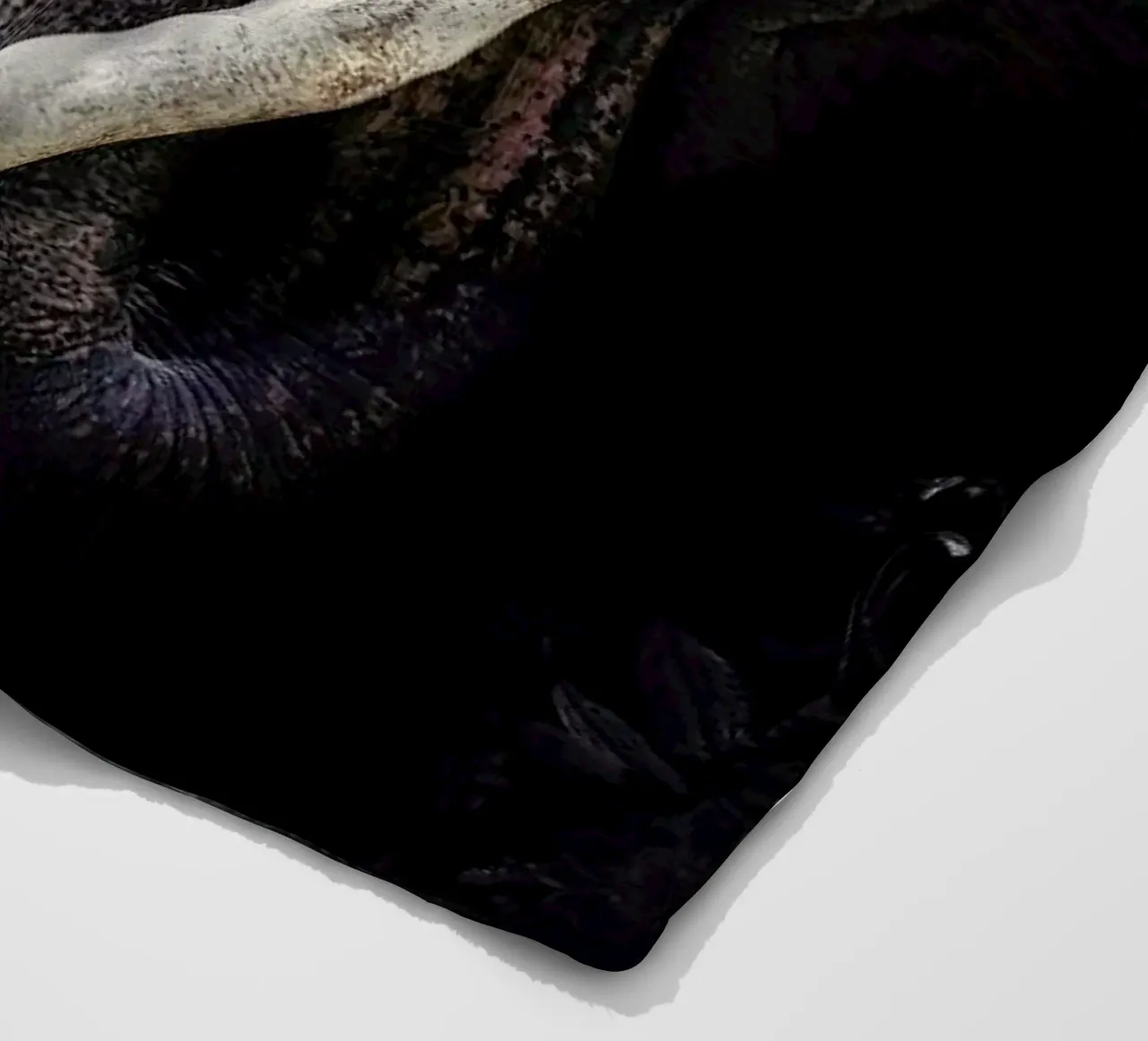 Elephant 3 coperta in pile da Wouter Rikken