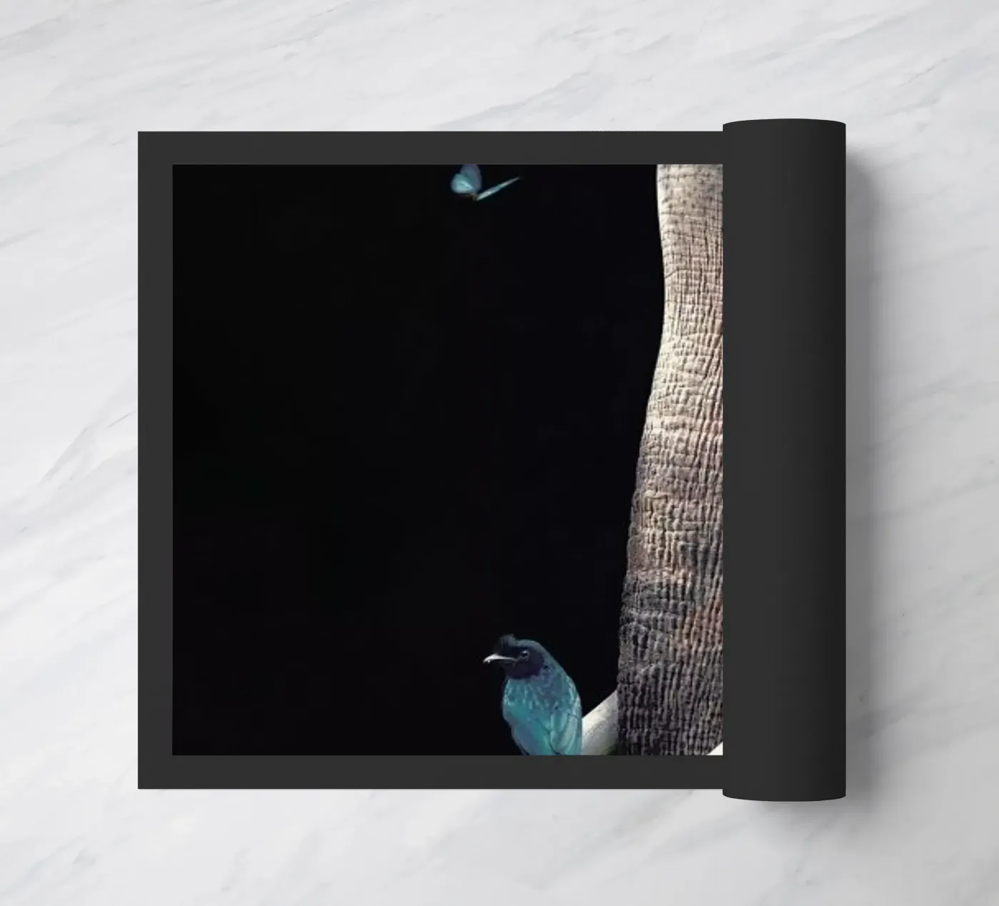 Elephant 3 zerbino da Wouter Rikken