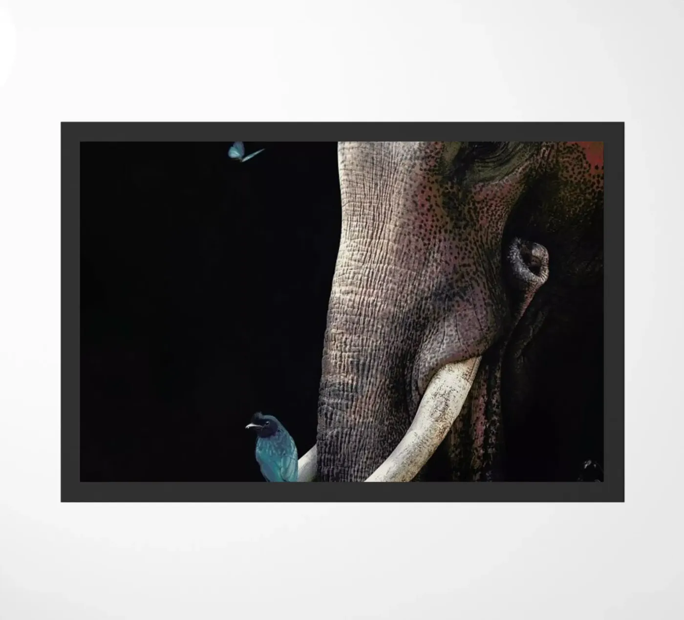 Elephant 3 zerbino da Wouter Rikken