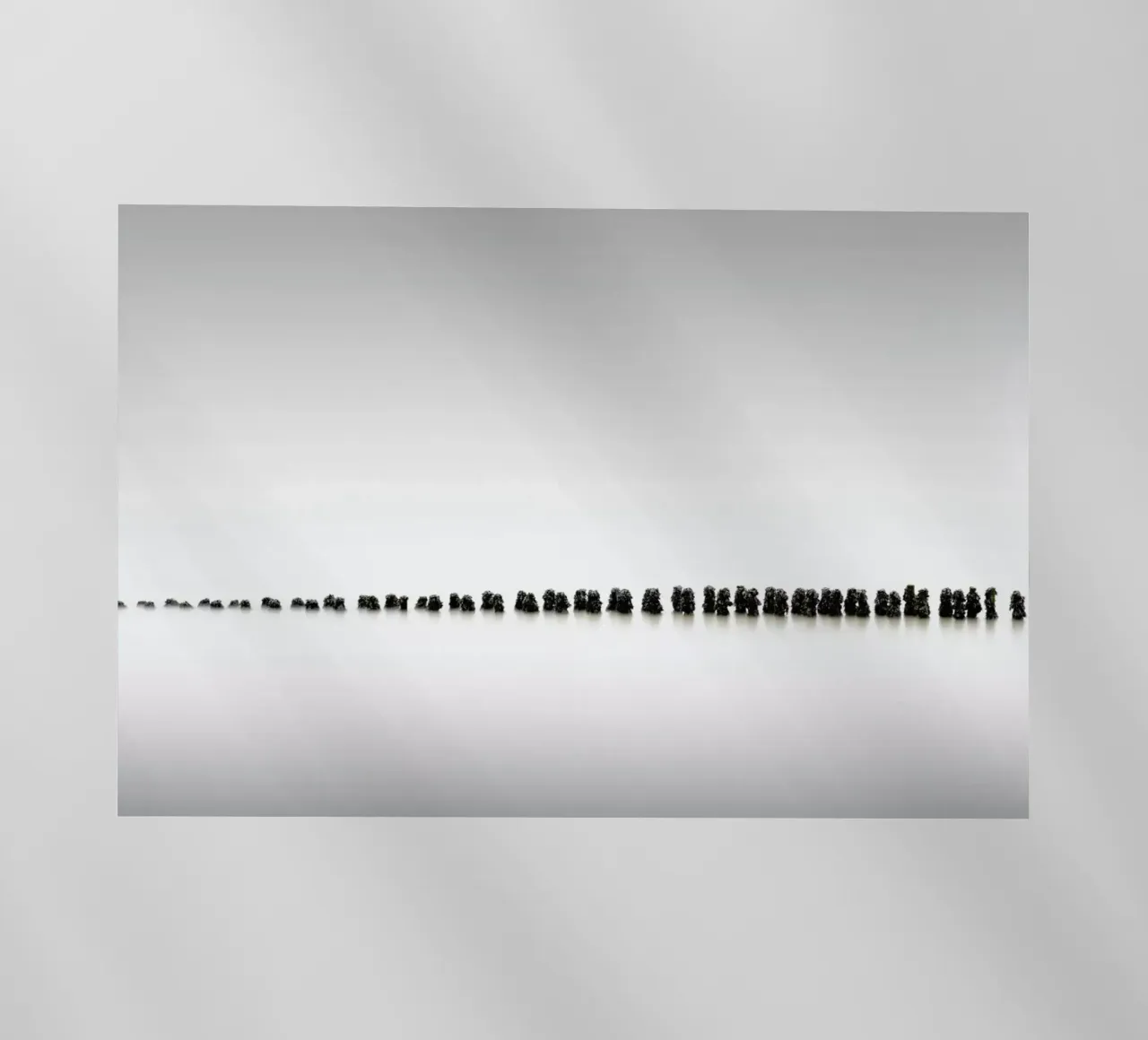 Extinction pellicola backlit da Håggard Photography | Ronny Behnert