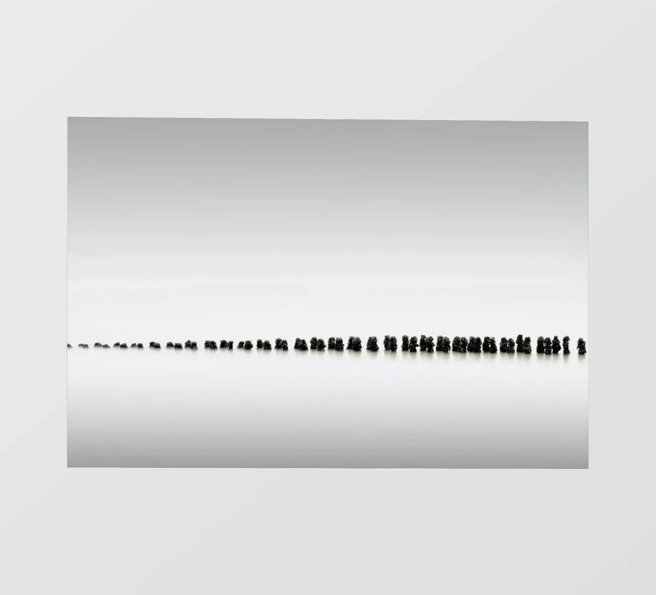 Extinction pellicola backlit da Håggard Photography | Ronny Behnert