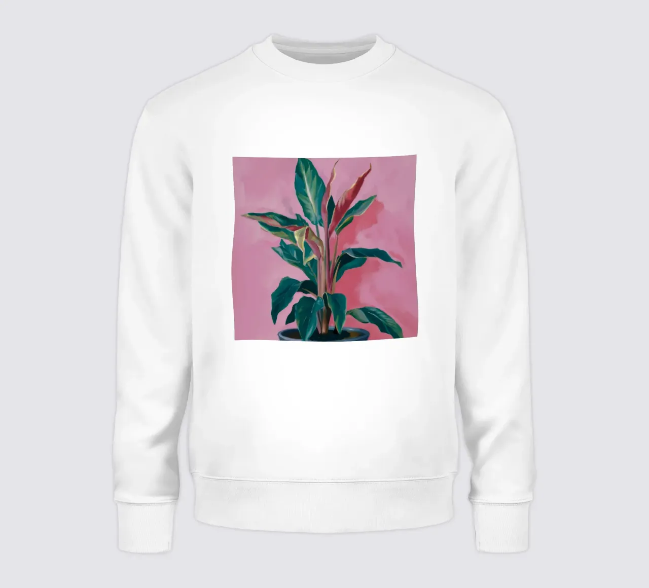 Pianta di calathea lussureggiante felpa da Pan Denim